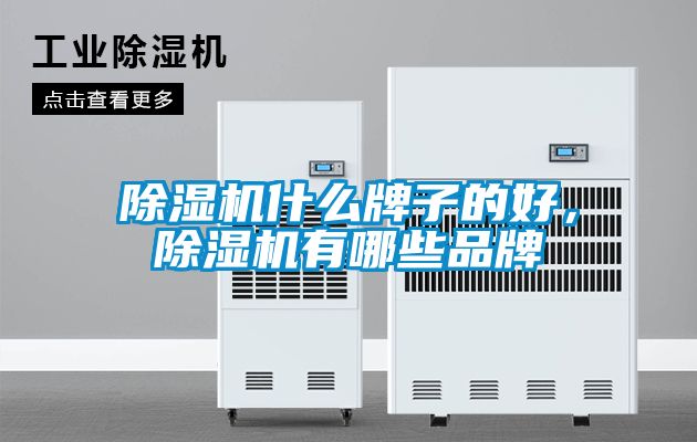 除濕機什么牌子的好，除濕機有哪些品牌