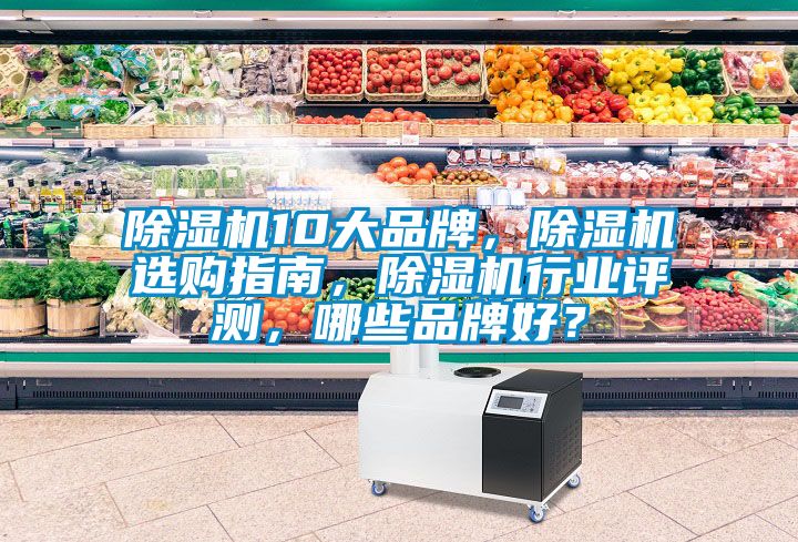 除濕機10大品牌,除濕機選購指南,除濕機行業評測,哪些品牌好?