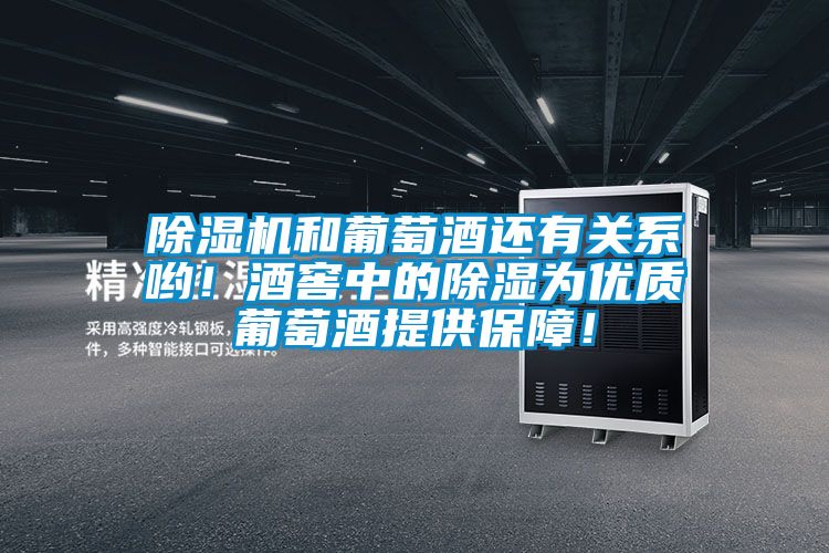 除濕機和葡萄酒還有關系喲!酒窖中的除濕為優質葡萄酒提供保障!