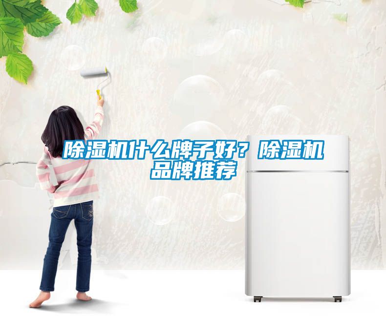 除濕機什么牌子好?除濕機品牌推薦