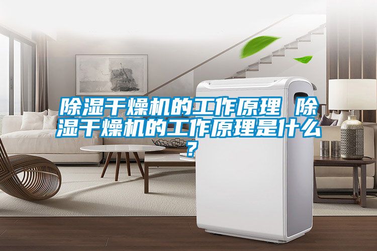 除濕干燥機的工作原理 除濕干燥機的工作原理是什么?
