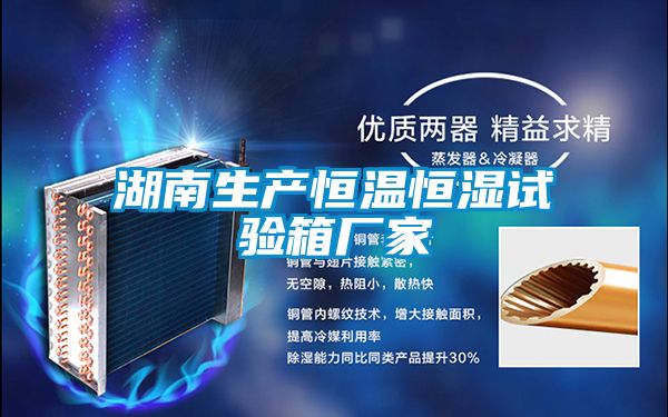湖南生產(chǎn)恒溫恒濕試驗(yàn)箱廠家