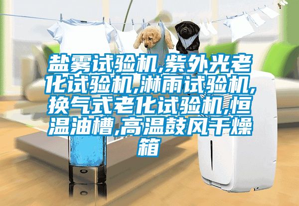 鹽霧試驗機,紫外光老化試驗機,淋雨試驗機,換氣式老化試驗機,恒溫油槽,高溫鼓風干燥箱