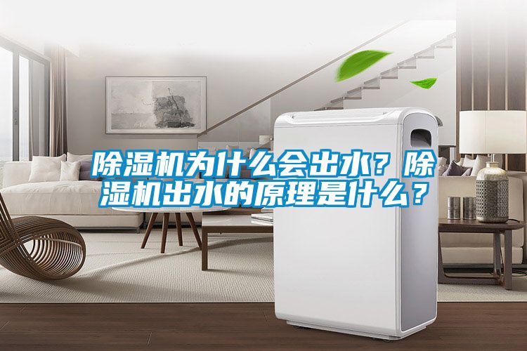 除濕機為什么會出水?除濕機出水的原理是什么?