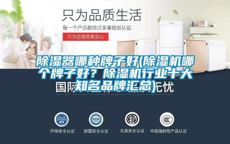 除濕器哪種牌子好(除濕機哪個牌子好？除濕機行業十大知名品牌匯總)
