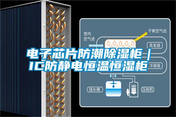 電子芯片防潮除濕柜|IC防靜電恒溫恒濕柜