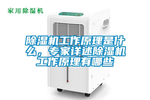 除濕機工作原理是什么,專家詳述除濕機工作原理有哪些