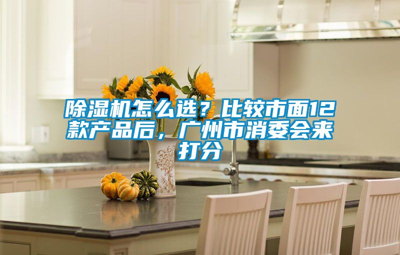 除濕機(jī)怎么選?比較市面12款產(chǎn)品后,廣州市消委會(huì)來(lái)打分