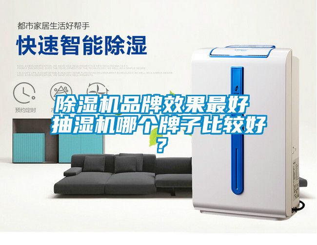 除濕機品牌效果最好 抽濕機哪個牌子比較好?