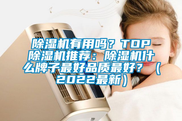 除濕機有用嗎？TOP除濕機推薦：除濕機什么牌子最好品質最好？（2022最新）