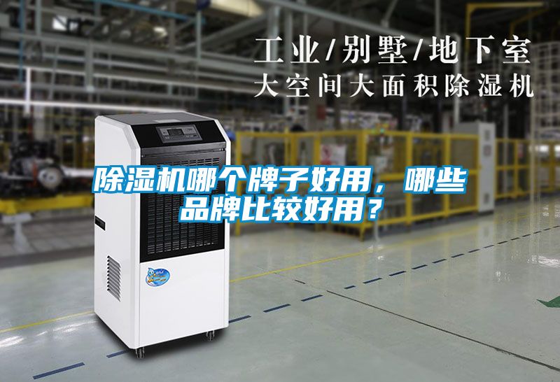 除濕機哪個牌子好用，哪些品牌比較好用？