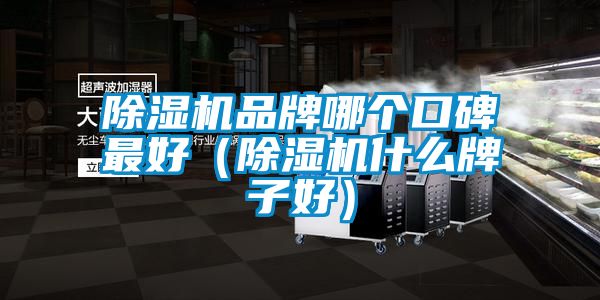 除濕機品牌哪個口碑最好（除濕機什么牌子好）