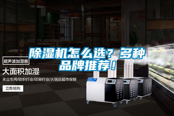 除濕機怎么選?多種品牌推薦!
