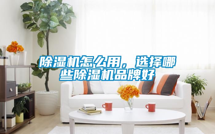 除濕機怎么用,選擇哪些除濕機品牌好
