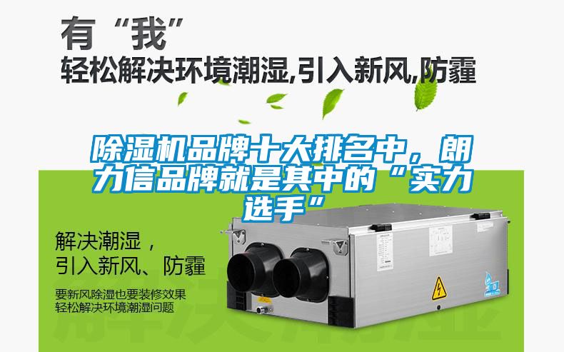 除濕機品牌十大排名中，朗力信品牌就是其中的“實力選手”