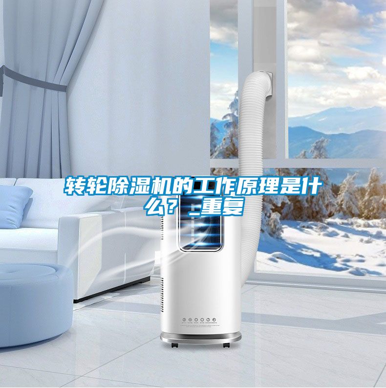 轉輪除濕機的工作原理是什么？_重復