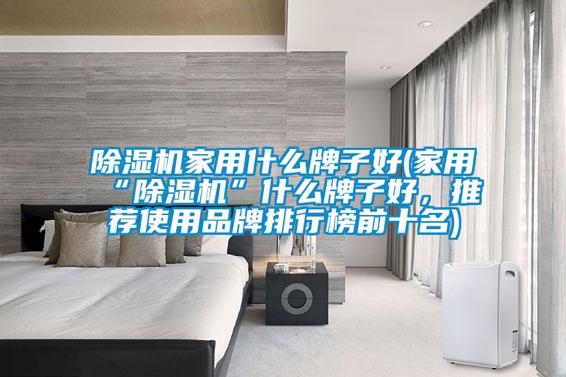 除濕機(jī)家用什么牌子好(家用“除濕機(jī)”什么牌子好,推薦使用品牌排行榜前十名)