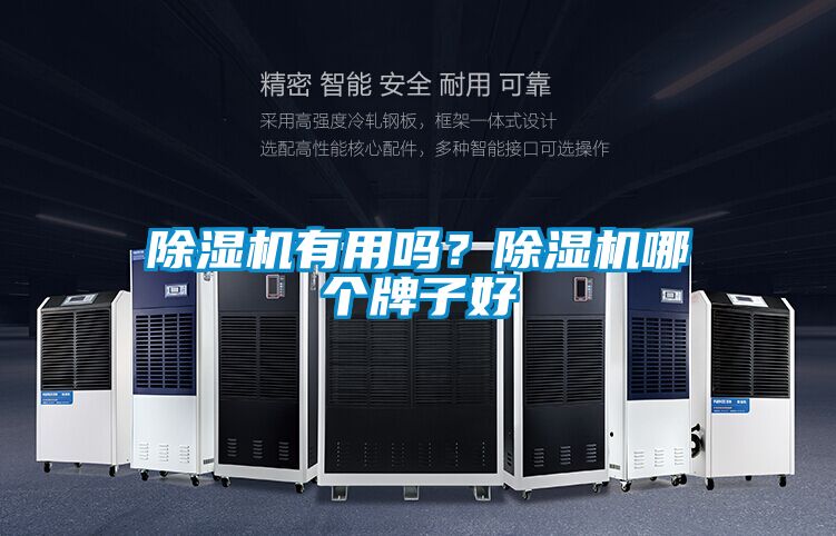 除濕機有用嗎?除濕機哪個牌子好