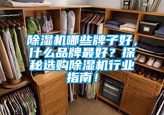 除濕機哪些牌子好，什么品牌最好？探秘選購除濕機行業指南！