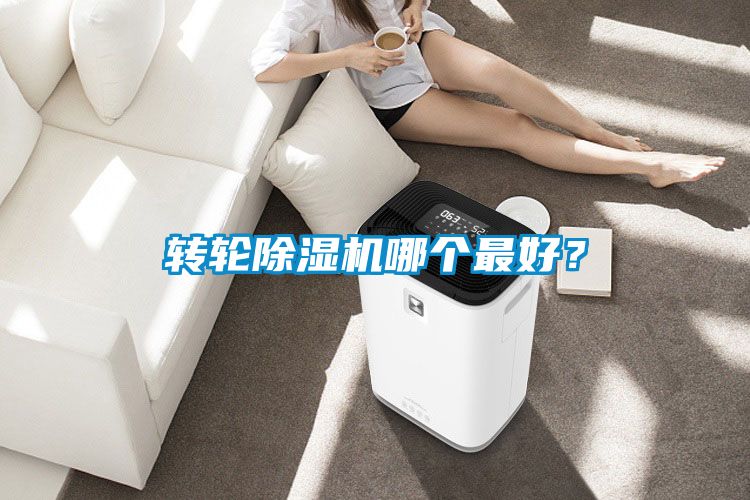 轉(zhuǎn)輪除濕機哪個最好？
