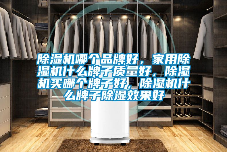 除濕機哪個品牌好，家用除濕機什么牌子質量好，除濕機買哪個牌子好，除濕機什么牌子除濕效果好