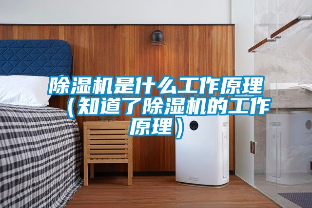 除濕機是什么工作原理(知道了除濕機的工作原理)