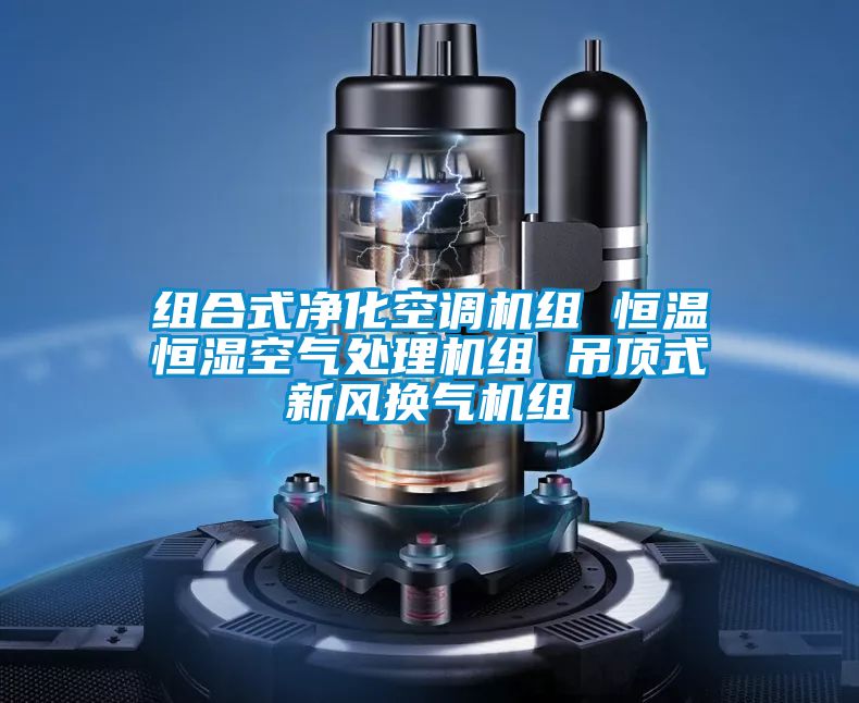組合式凈化空調機組 恒溫恒濕空氣處理機組 吊頂式新風換氣機組