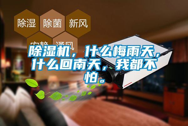 除濕機，什么梅雨天，什么回南天，我都不怕。