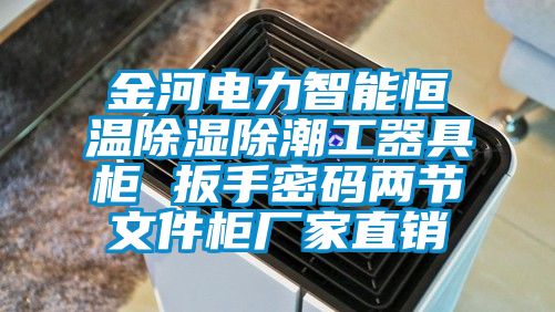 金河電力智能恒溫除濕除潮工器具柜 扳手密碼兩節文件柜廠家直銷