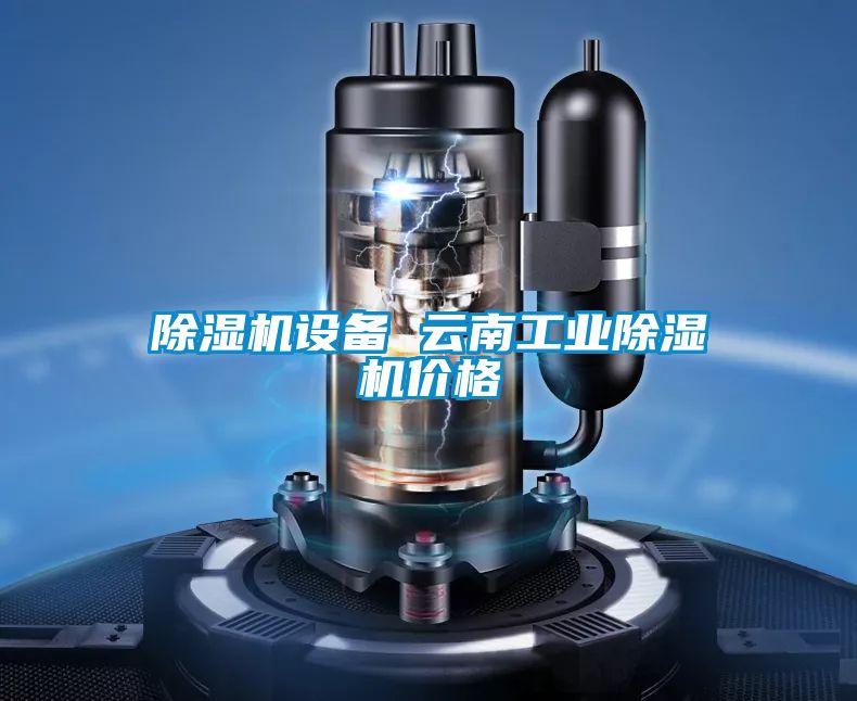 除濕機設備 云南工業除濕機價格