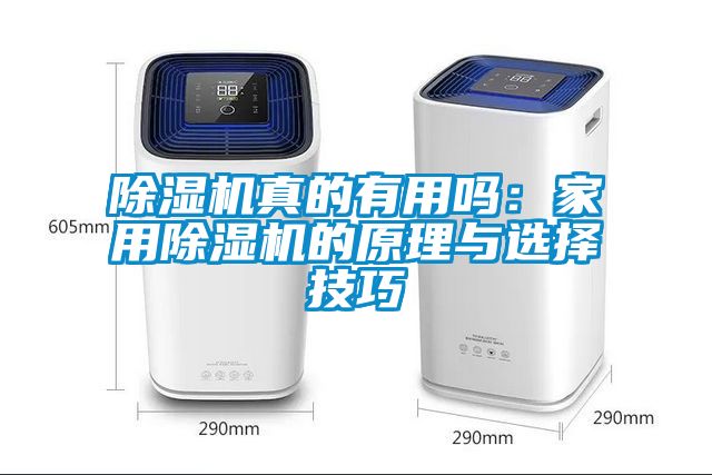 除濕機真的有用嗎：家用除濕機的原理與選擇技巧