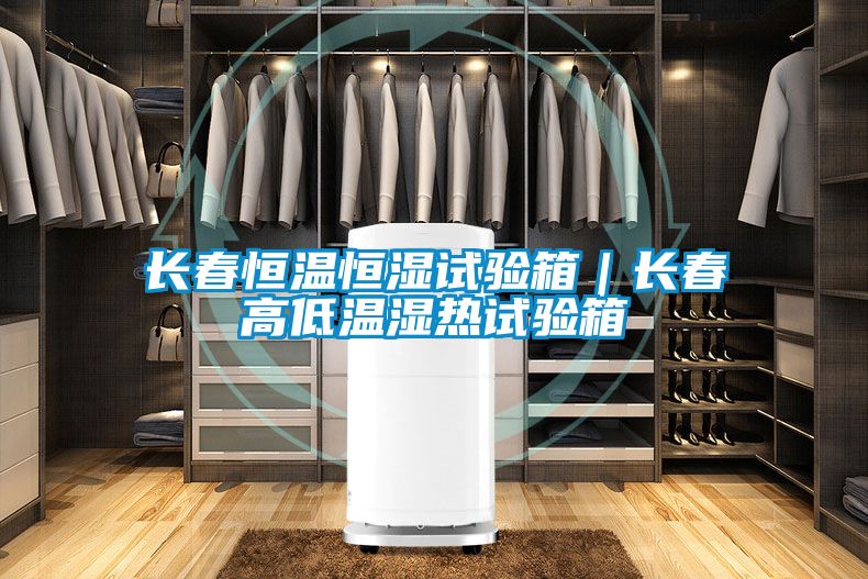 長春恒溫恒濕試驗箱|長春高低溫濕熱試驗箱