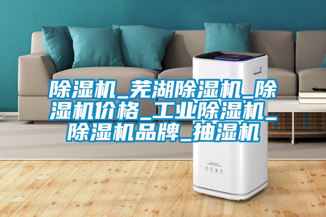 除濕機(jī)_蕪湖除濕機(jī)_除濕機(jī)價格_工業(yè)除濕機(jī)_除濕機(jī)品牌_抽濕機(jī)