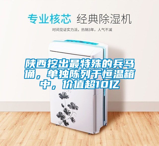 陜西挖出最特殊的兵馬俑,單獨陳列于恒溫箱中,價值超10億