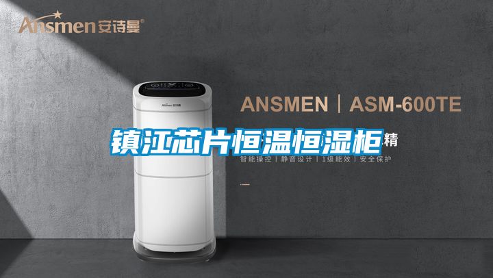 鎮江芯片恒溫恒濕柜