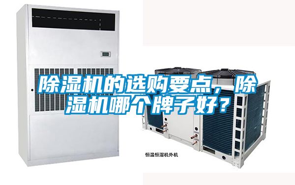 除濕機的選購要點,除濕機哪個牌子好?