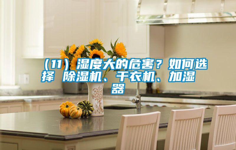 （11）濕度大的危害？如何選擇 除濕機、干衣機、加濕器