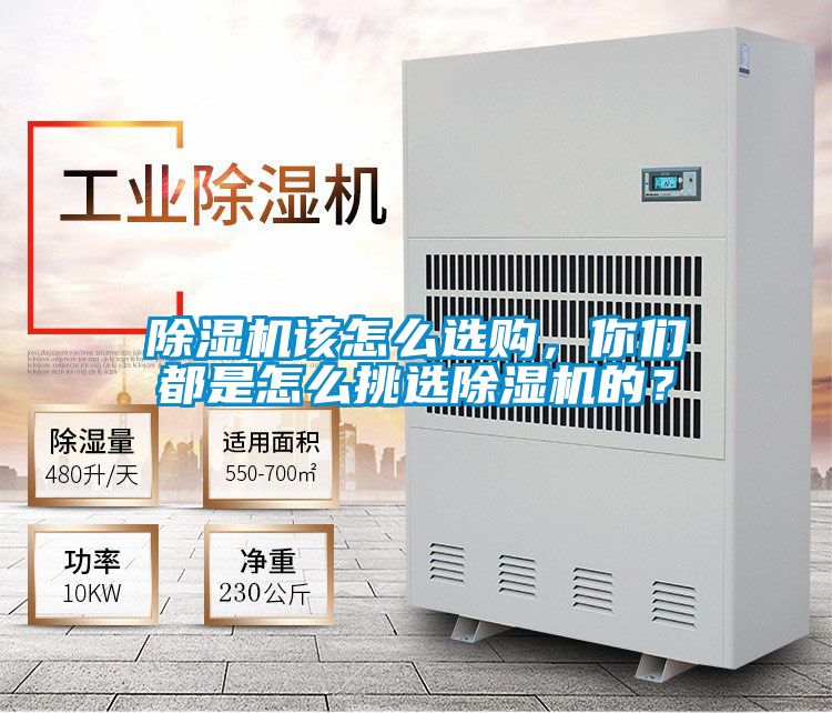 除濕機該怎么選購，你們都是怎么挑選除濕機的？