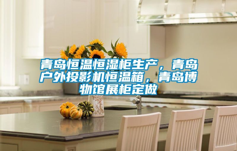 青島恒溫恒濕柜生產(chǎn)，青島戶外投影機(jī)恒溫箱，青島博物館展柜定做