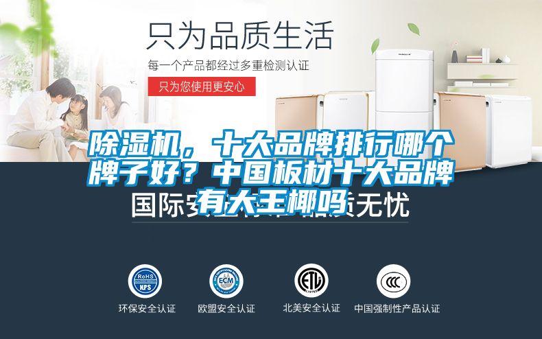 除濕機,十大品牌排行哪個牌子好?中國板材十大品牌有大王椰嗎