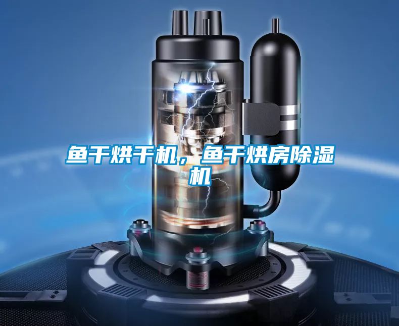 魚干烘干機(jī),魚干烘房除濕機(jī)