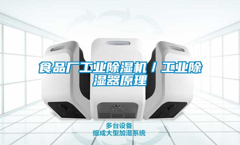 食品廠工業除濕機/工業除濕器原理