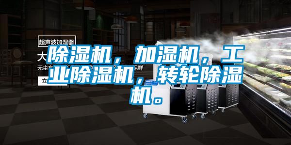 除濕機,加濕機,工業除濕機,轉輪除濕機。