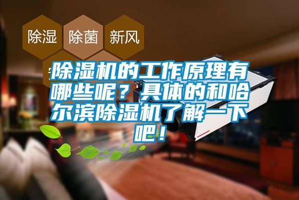除濕機的工作原理有哪些呢？具體的和哈爾濱除濕機了解一下吧！