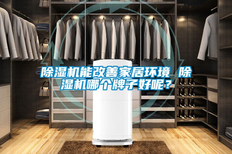 除濕機能改善家居環境 除濕機哪個牌子好呢？