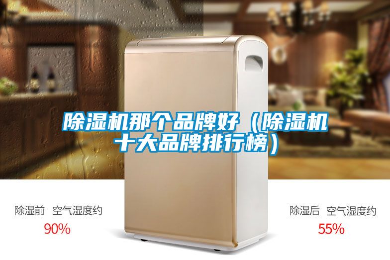 除濕機(jī)那個(gè)品牌好(除濕機(jī)十大品牌排行榜)
