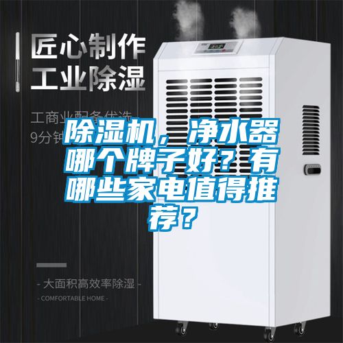 除濕機，凈水器哪個牌子好？有哪些家電值得推薦？