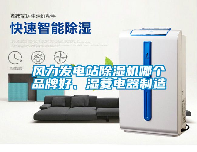 風力發電站除濕機哪個品牌好、濕菱電器制造