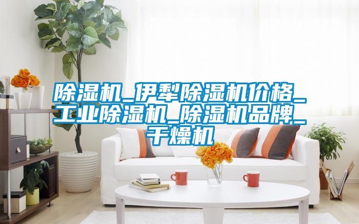 除濕機_伊犁除濕機價格_工業除濕機_除濕機品牌_干燥機